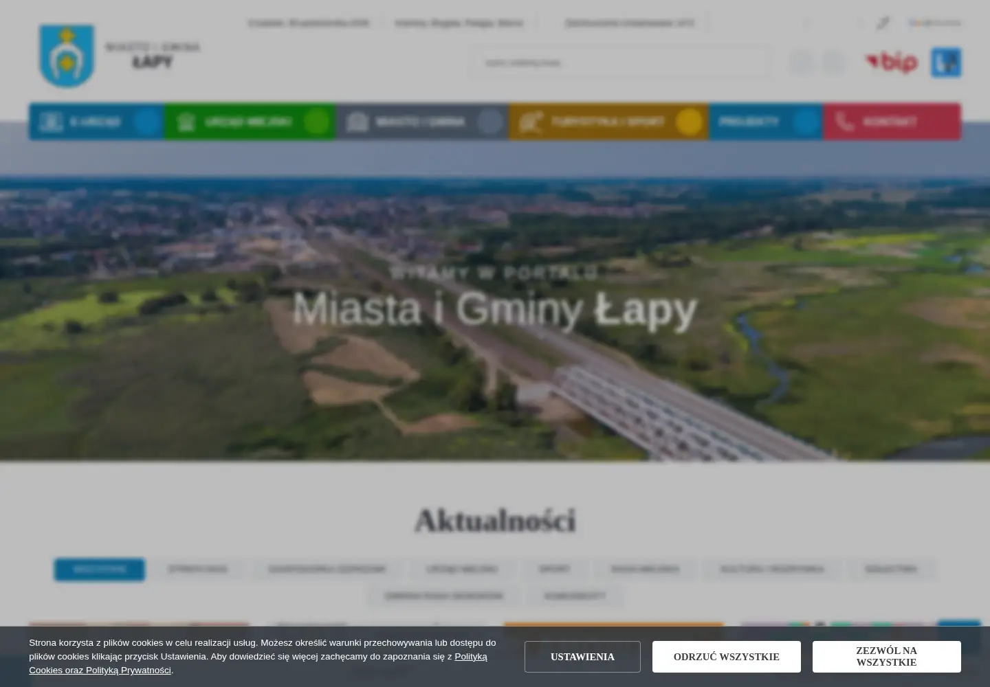 Captured homepage of elapy.pl in the current scan