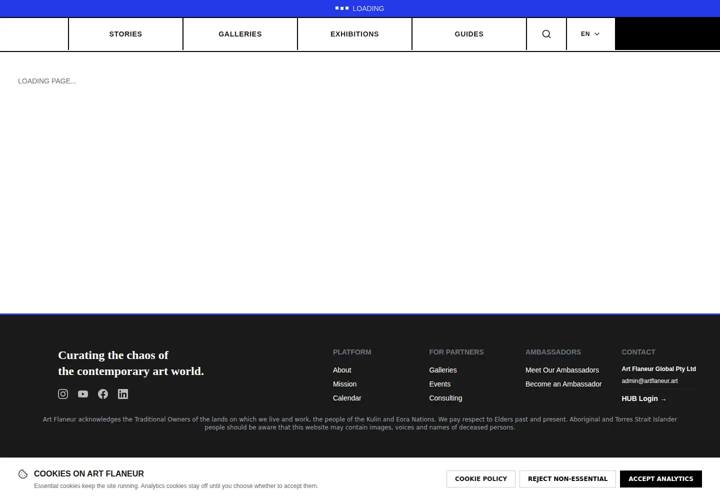 Captured homepage of artflaneur.com.au in the current scan