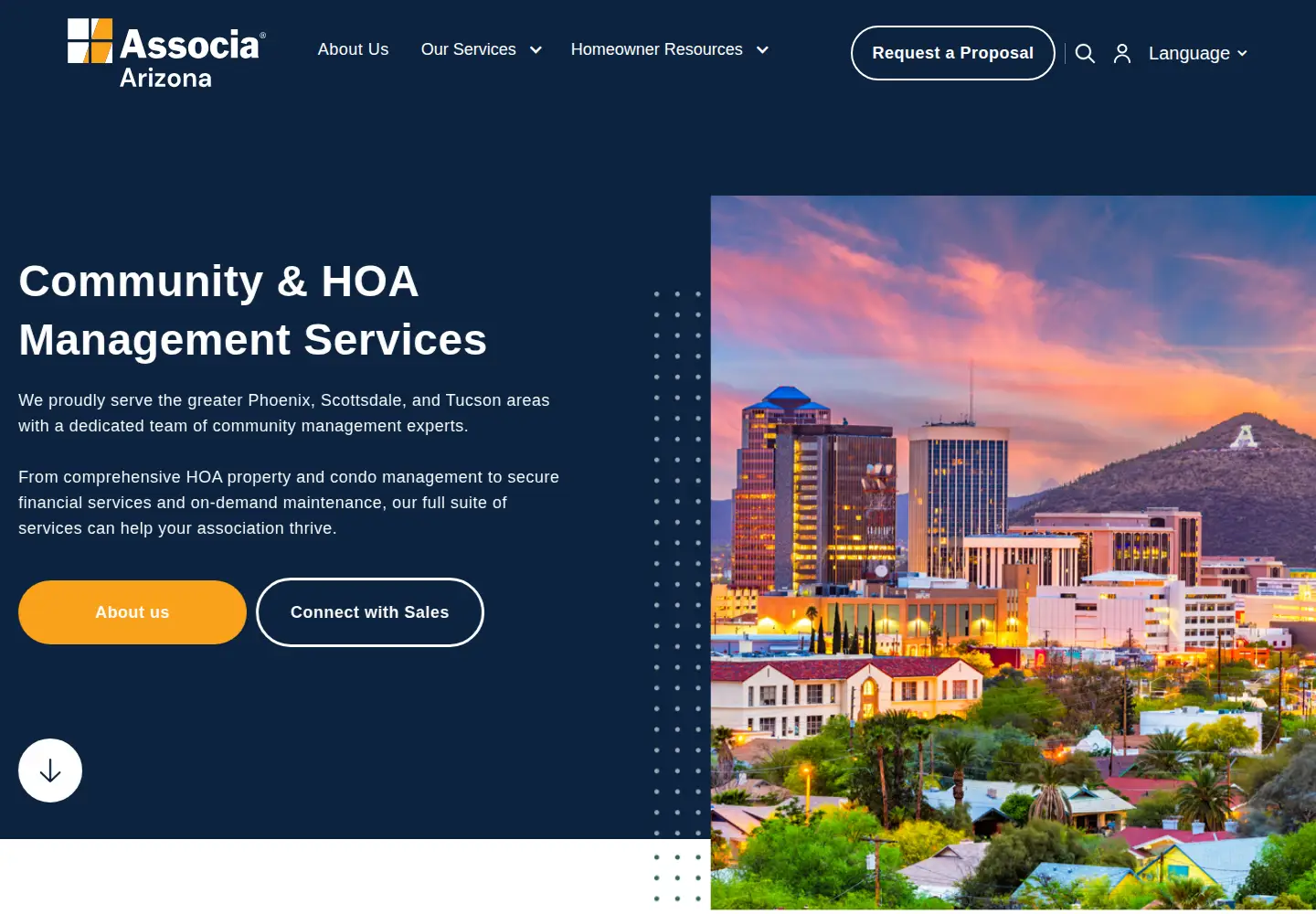 Captured homepage of associaarizona.com in the current scan