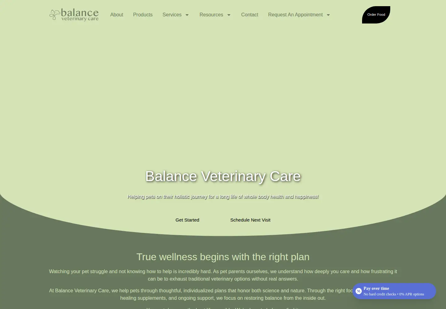 Captured homepage of balancevc.com in the current scan