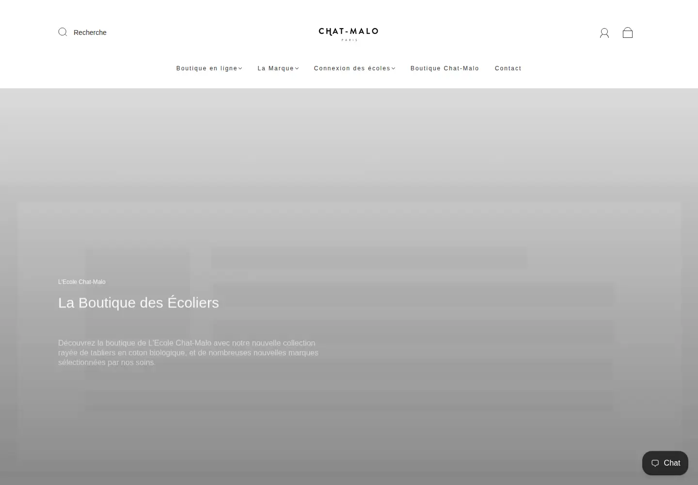 Captured homepage of chat-malo.com in the current scan