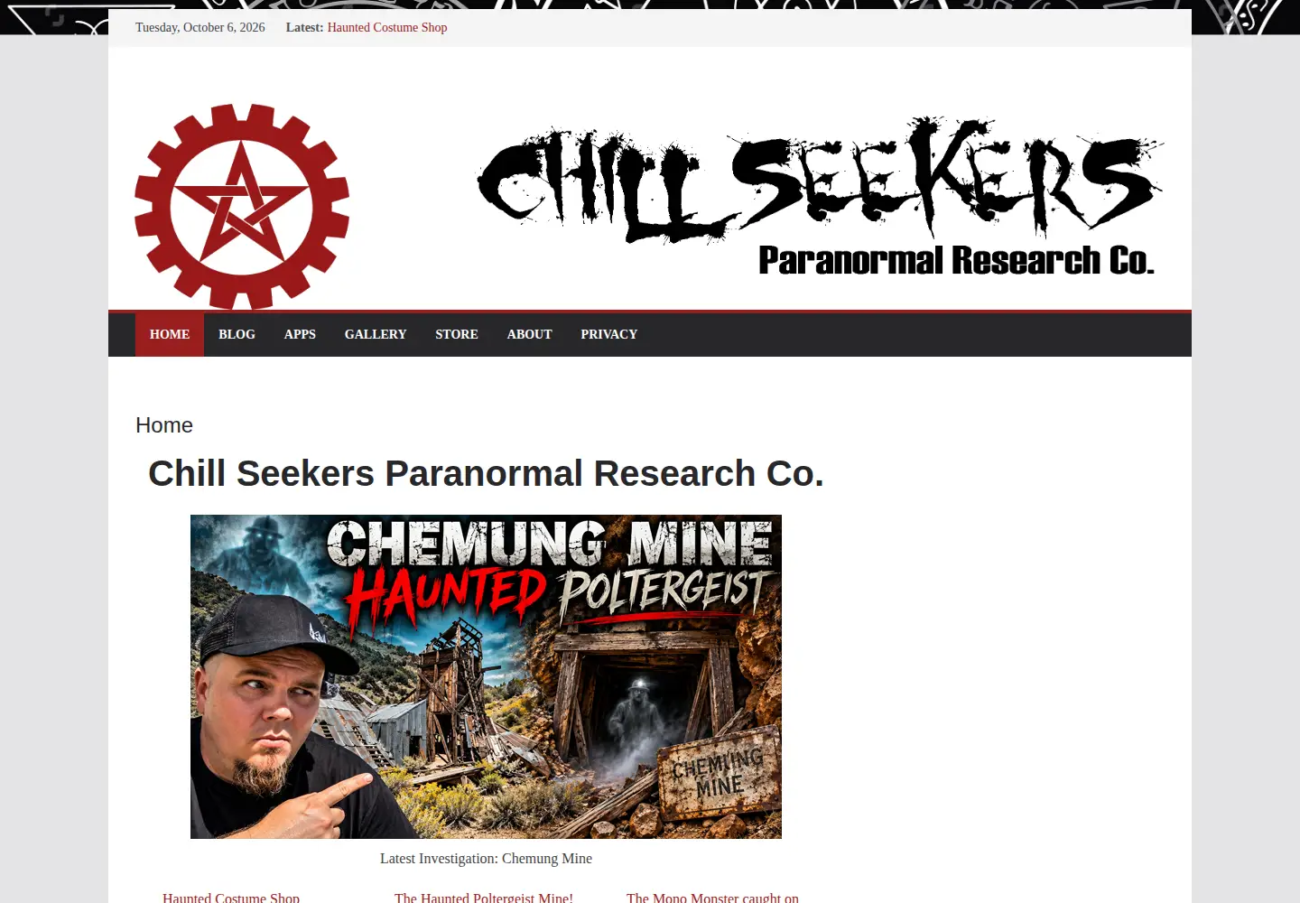 Captured homepage of chillseekers.com in the current scan