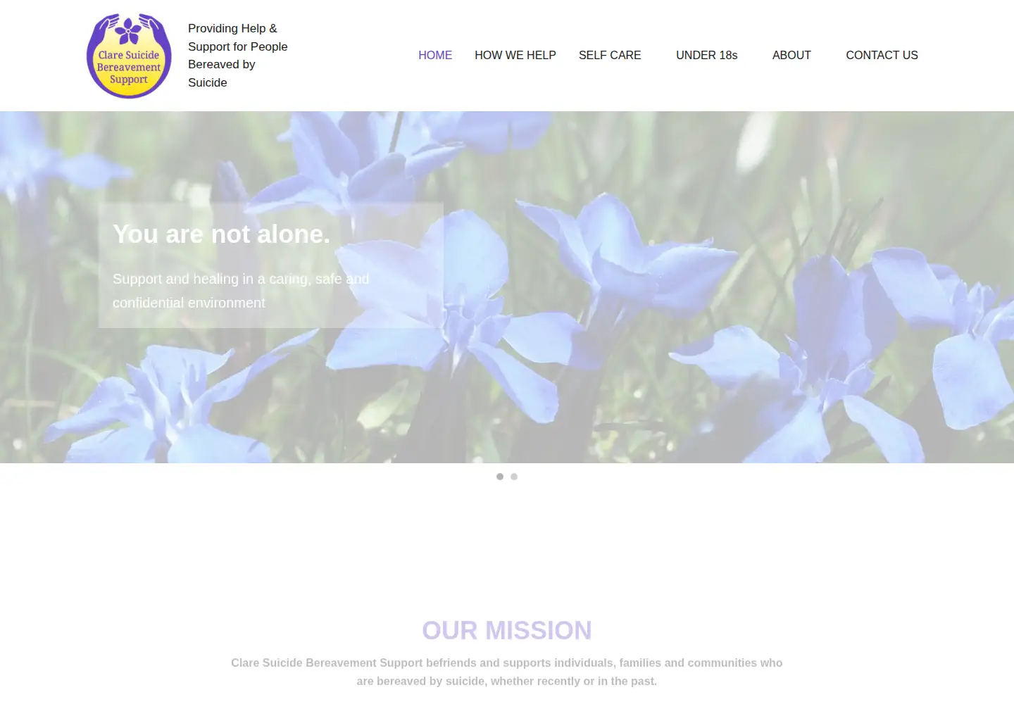 Screenshot of claresuicidebereavementsupport.com