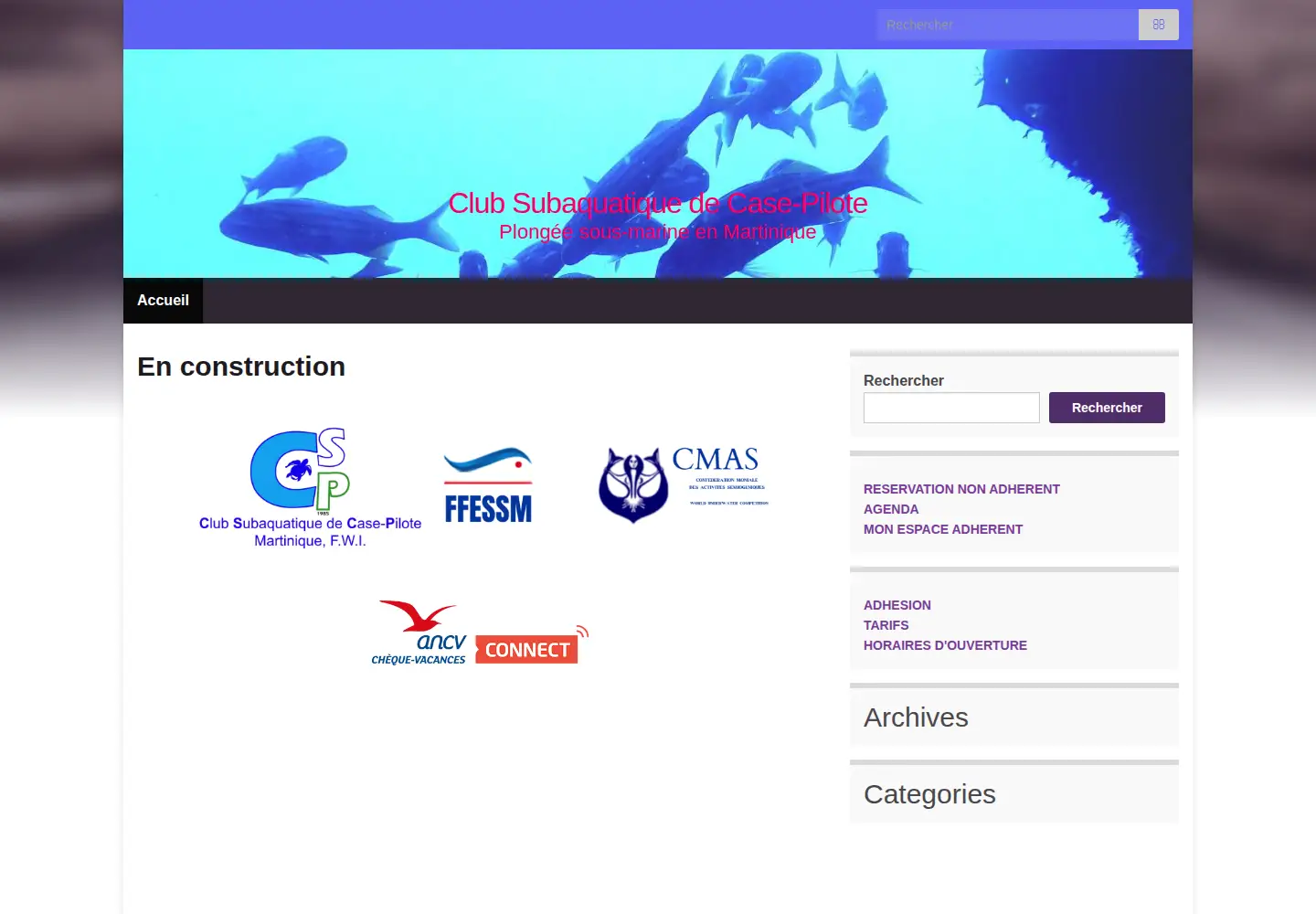 Captured homepage of cscp-plongee.com in the current scan