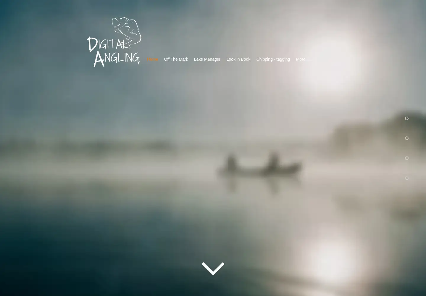 Screenshot of digitalangling.com