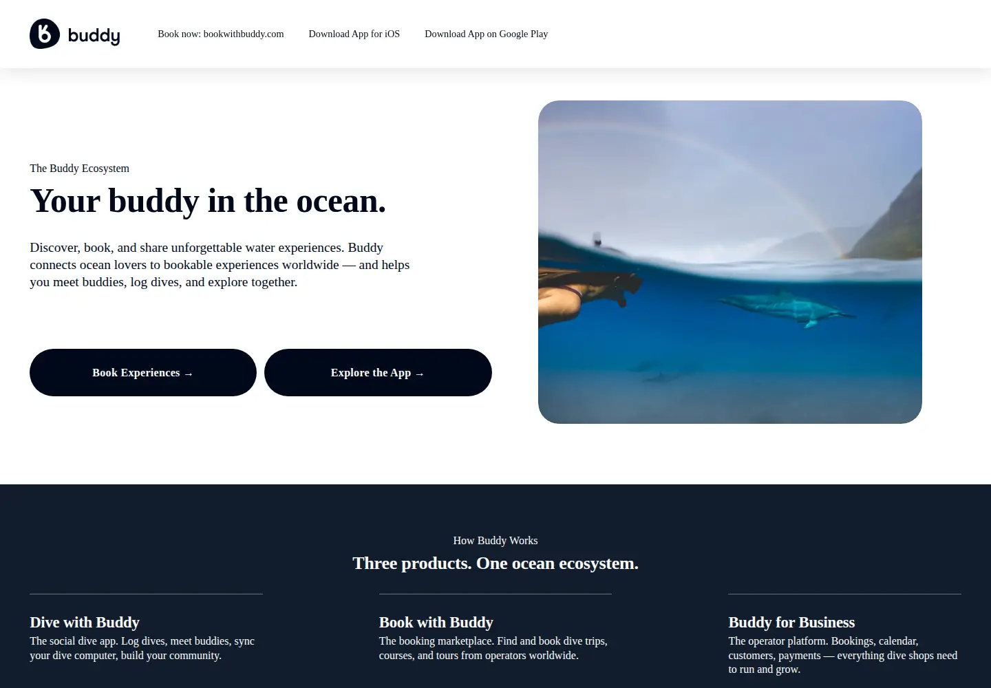 Captured homepage of divewithbuddy.com in the current scan