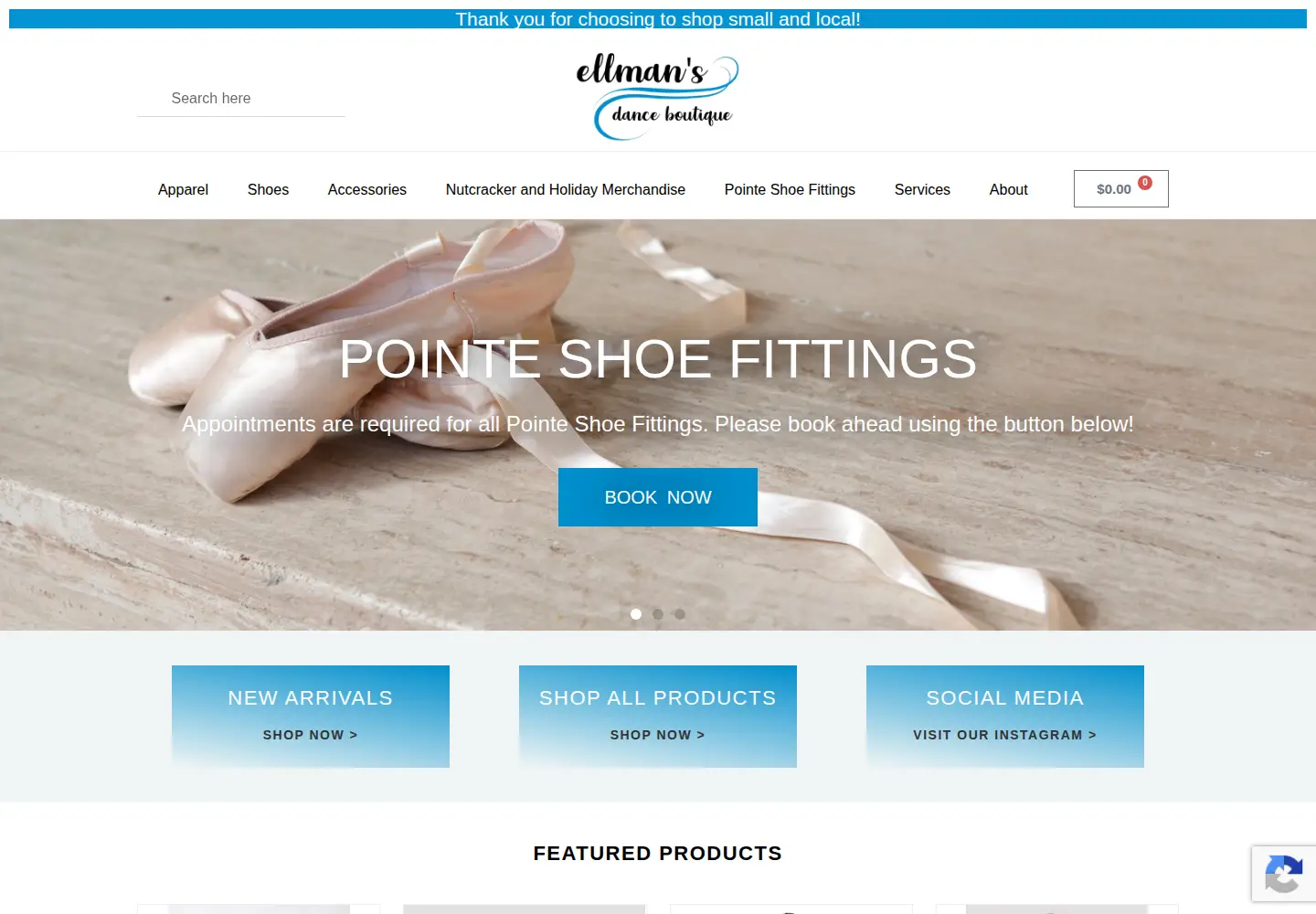 Captured homepage of ellmansdancewear.com in the current scan
