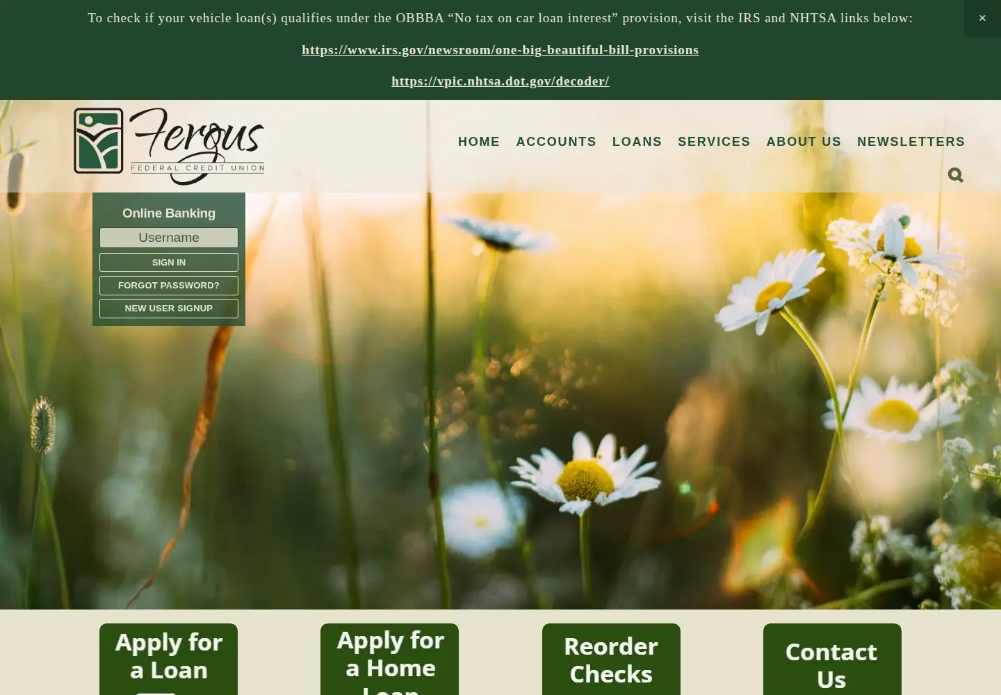 Captured homepage of fergusfcu.com in the current scan