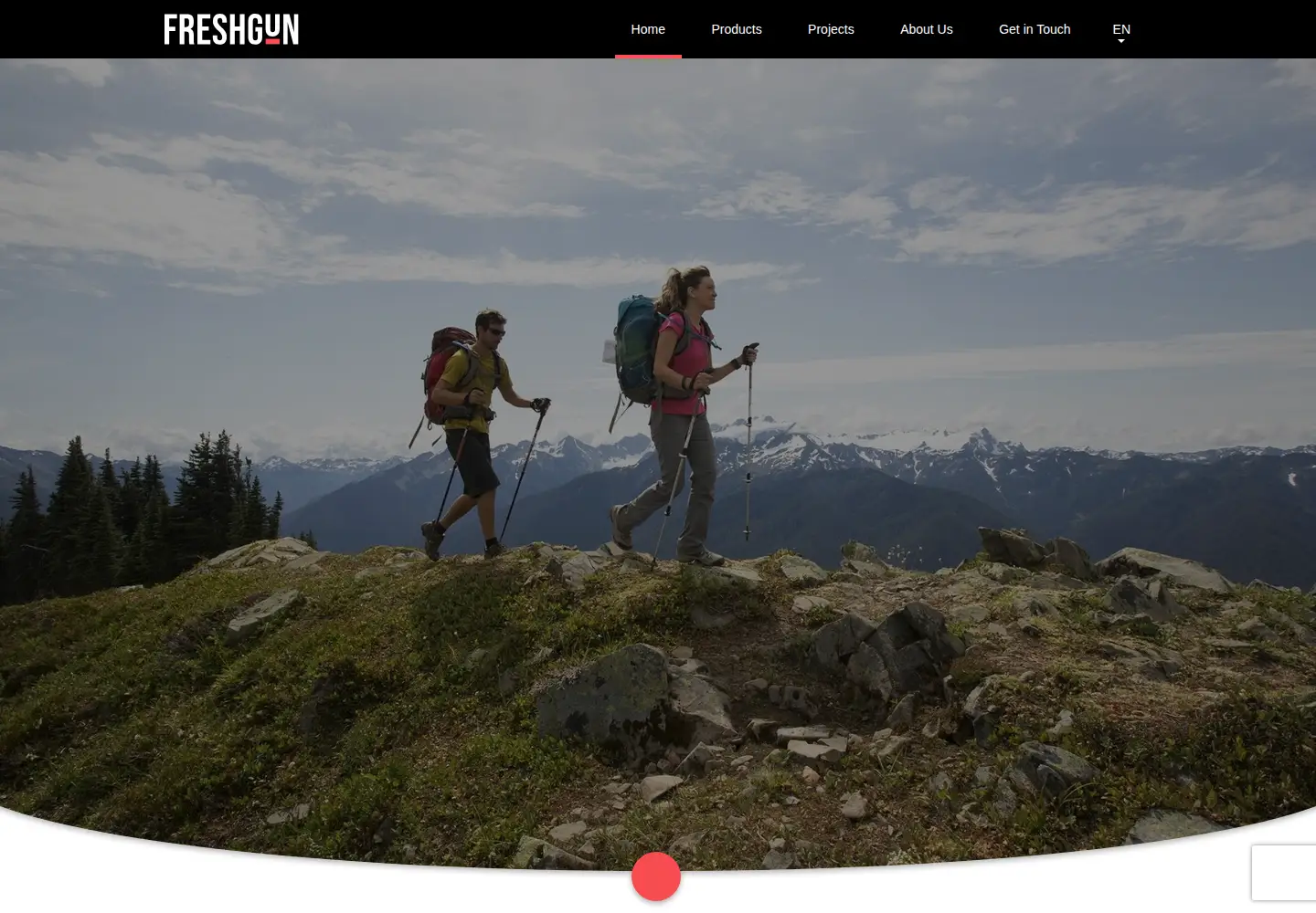 Captured homepage of freshgun.com in the current scan