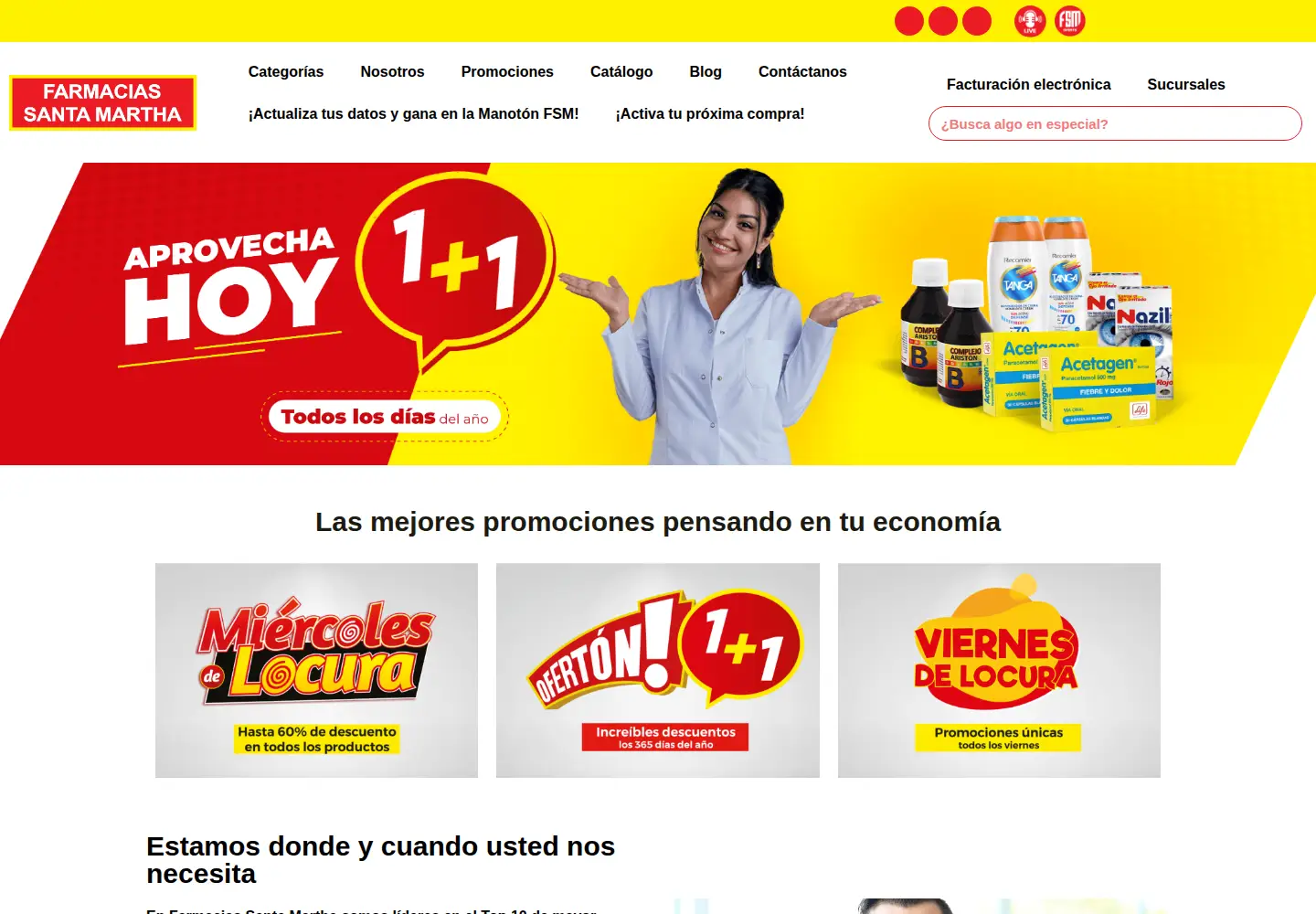 Screenshot of fsantamartha.com