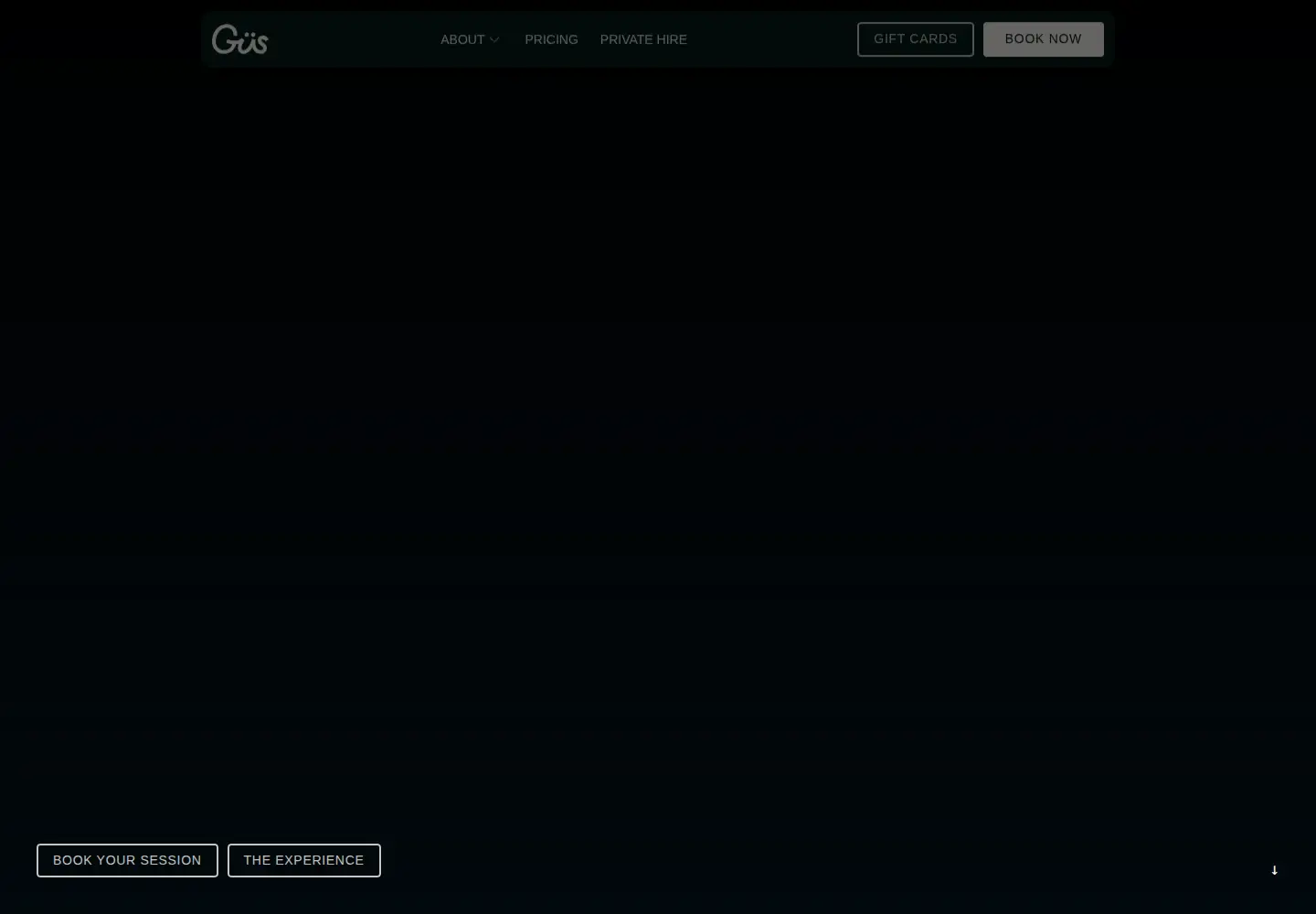 Captured homepage of guswellness.com in the current scan