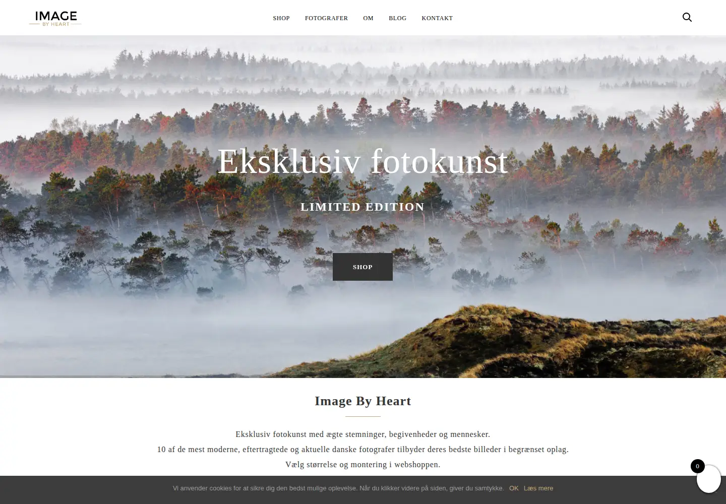 Screenshot of imagebyheart.com
