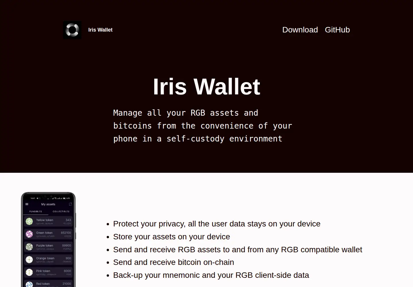 Captured homepage of iriswallet.com in the current scan