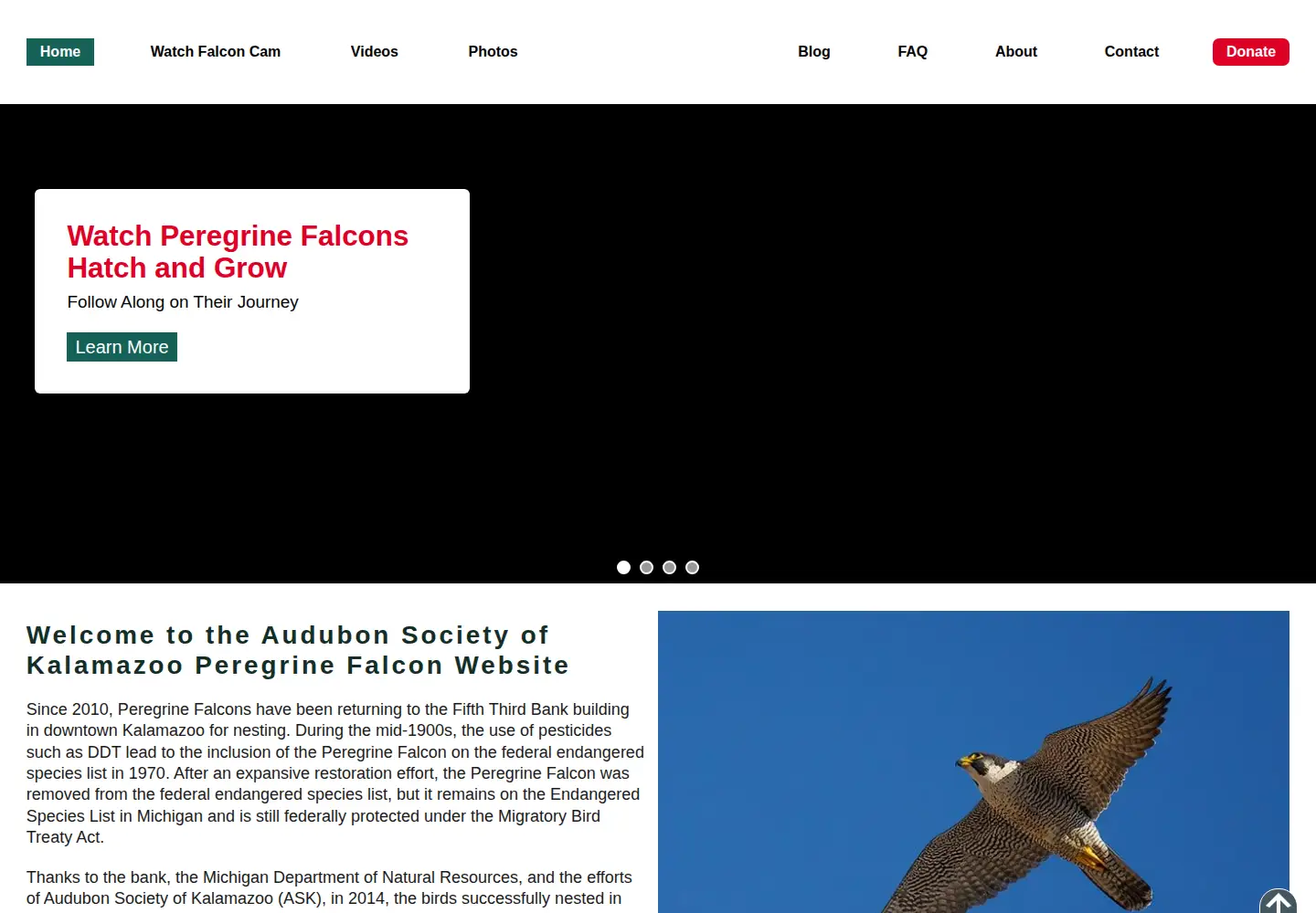 Captured homepage of kalamazoofalcons.com in the current scan