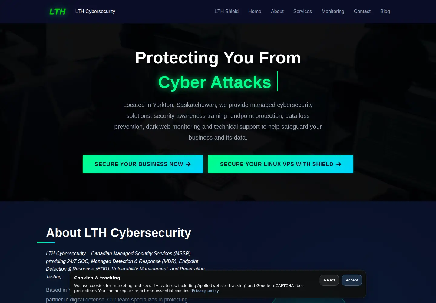 Captured homepage of lthcybersecurity.com in the current scan