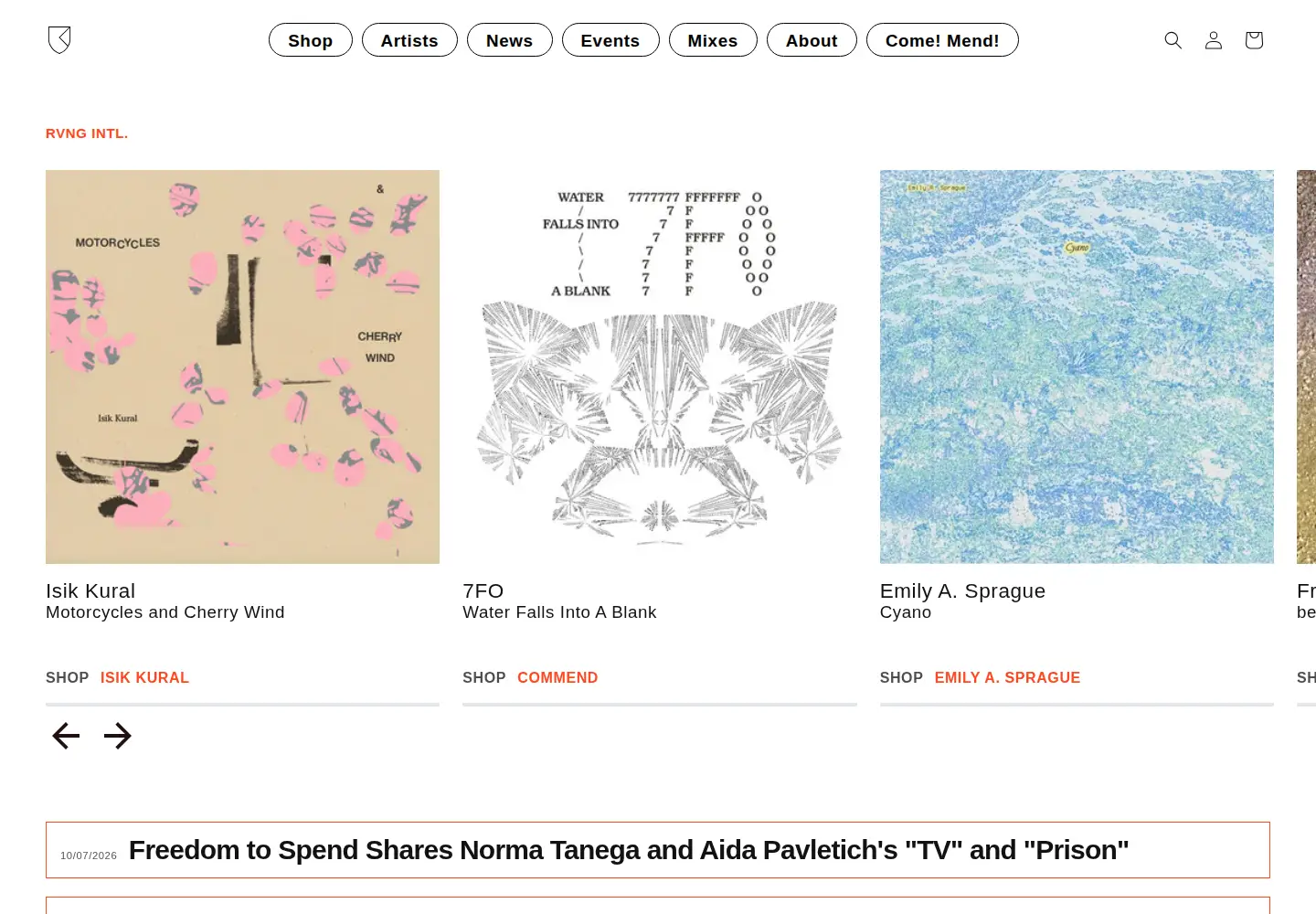 Captured homepage of rvng.com in the current scan