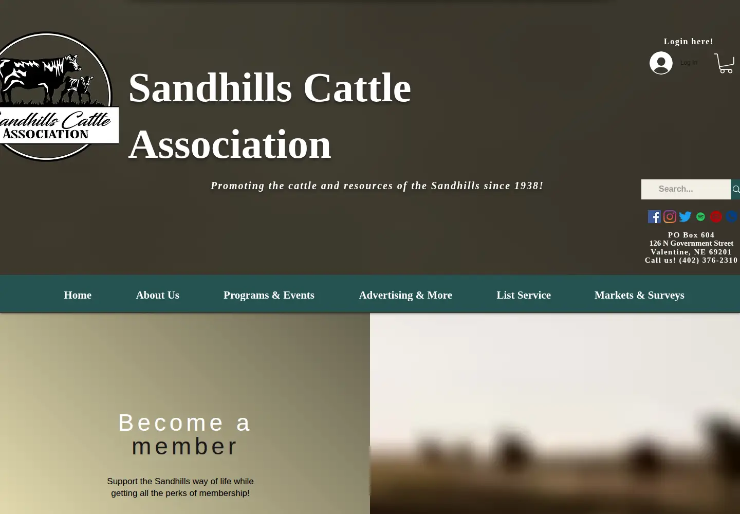 Captured homepage of sandhillscattle.com in the current scan