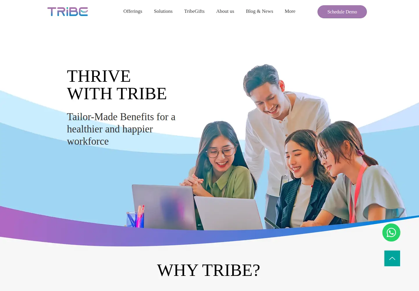 Screenshot of tribebenefits.com