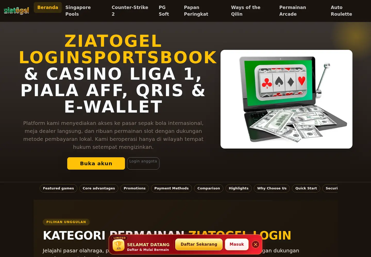 Captured homepage of ziatogellogin.com in the current scan