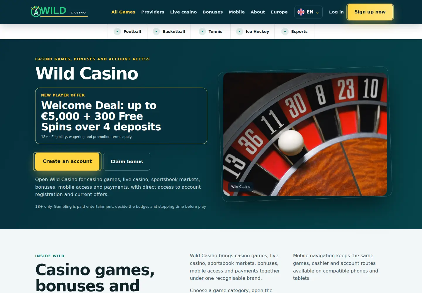 Screenshot of wild-casino.eu