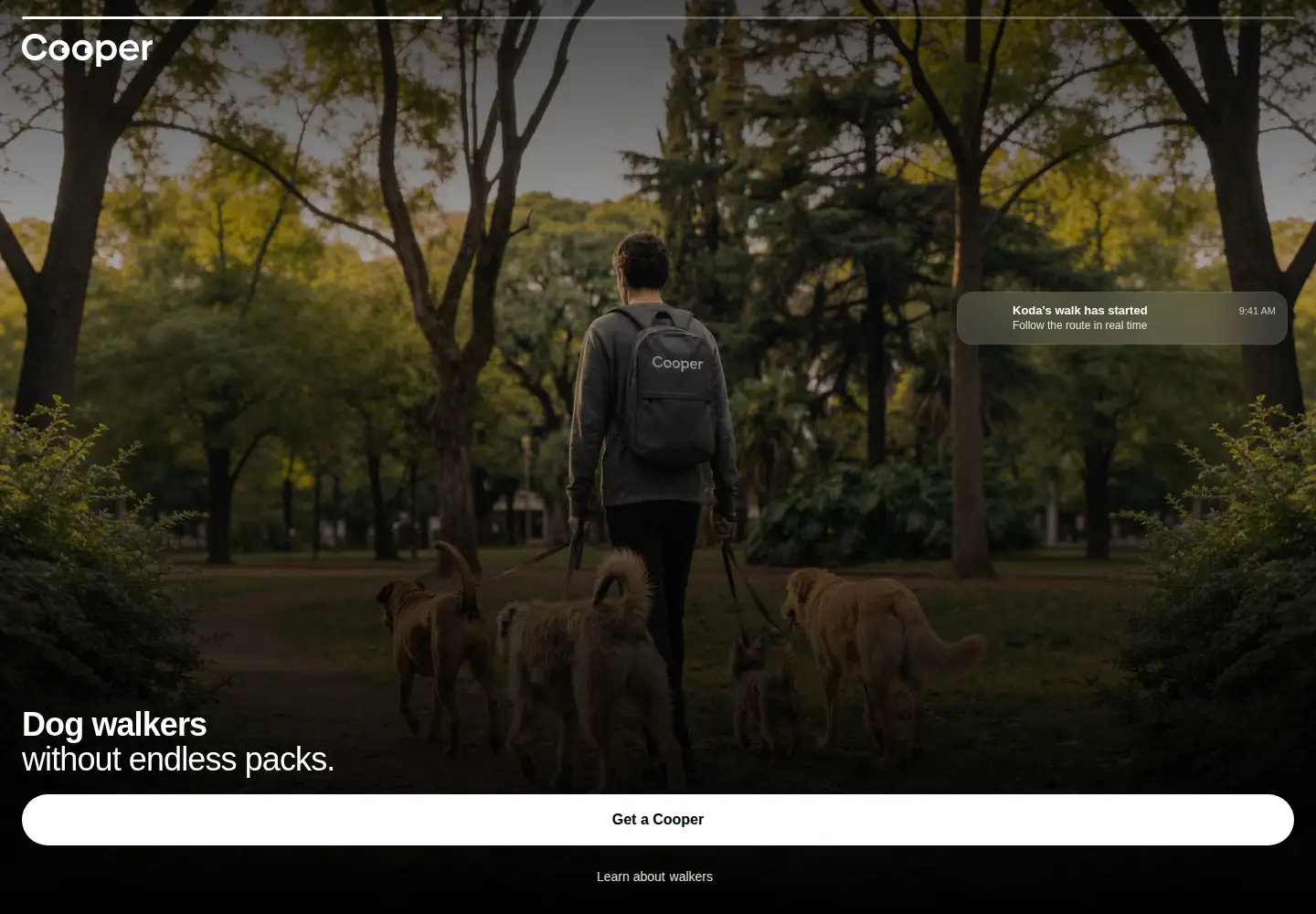 Captured homepage of cooperpetcare.app in the current scan