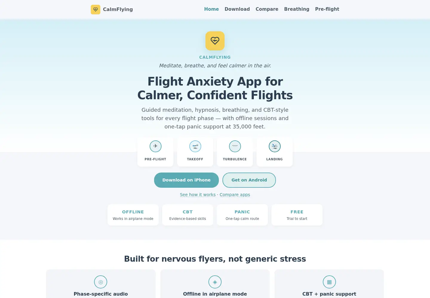 Captured homepage of flight-anxiety.app in the current scan