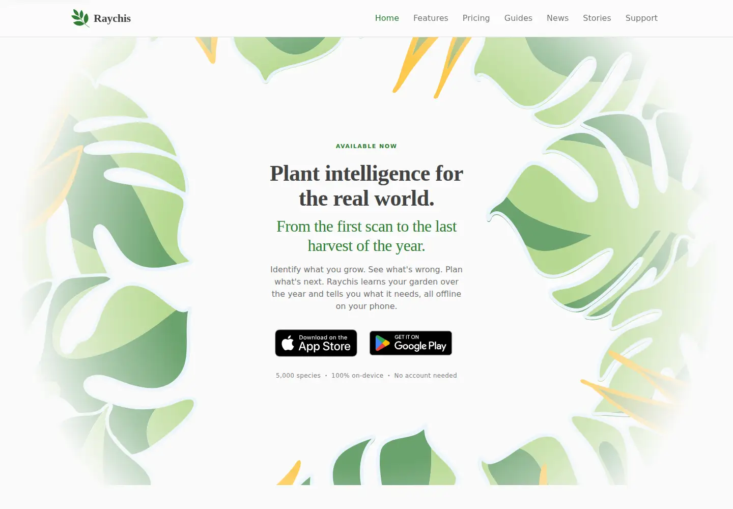Screenshot of raychis.app
