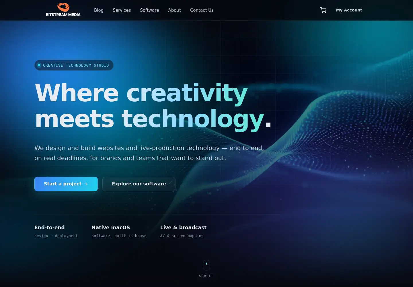 Captured homepage of bitstreammedia.com.au in the current scan