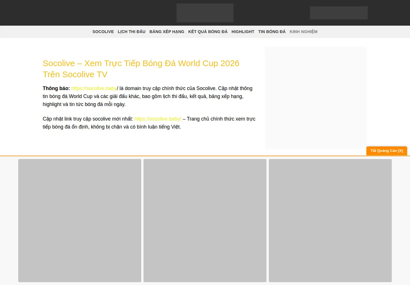 Screenshot of socolive.baby