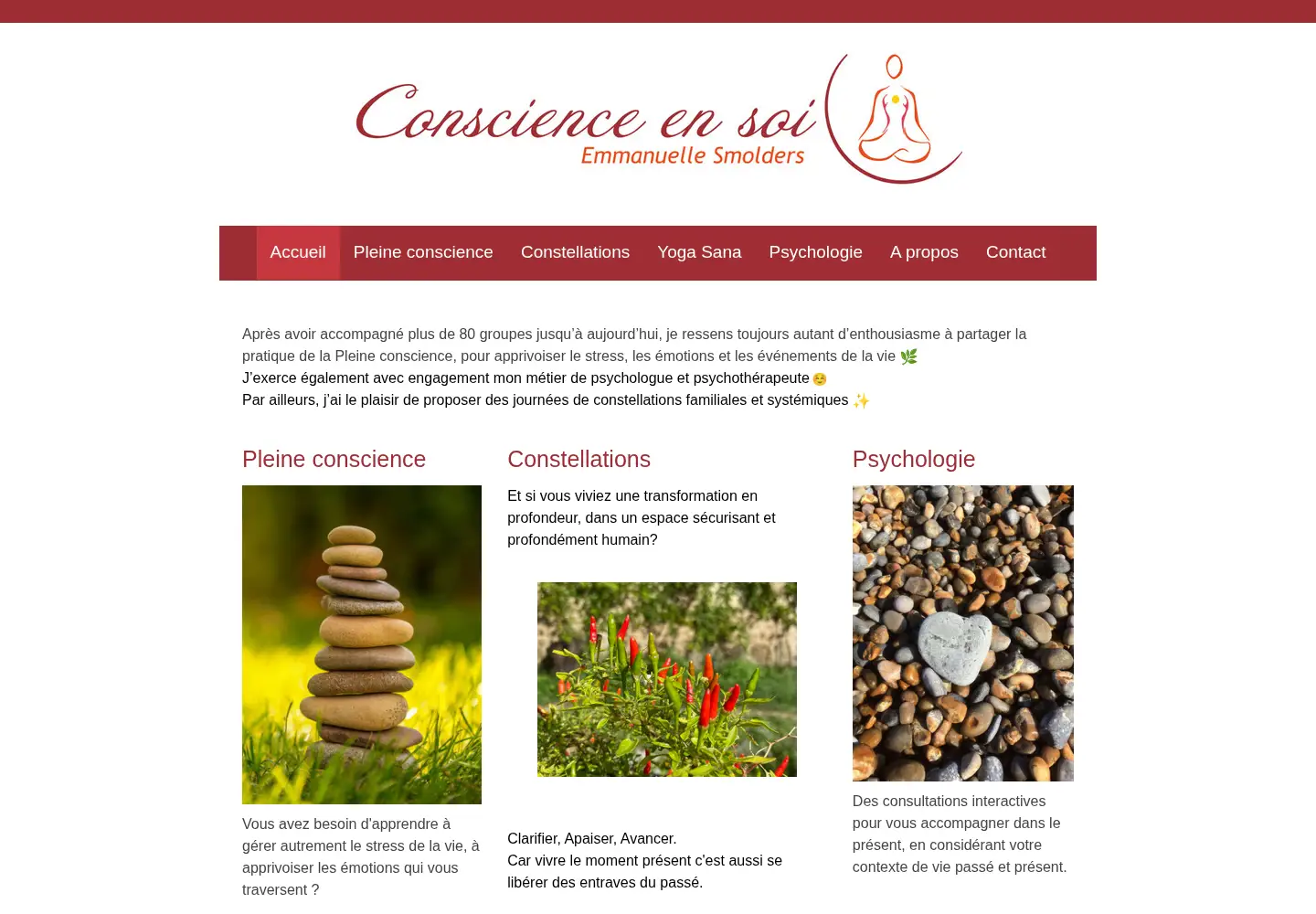 Captured homepage of conscience-en-soi.be in the current scan