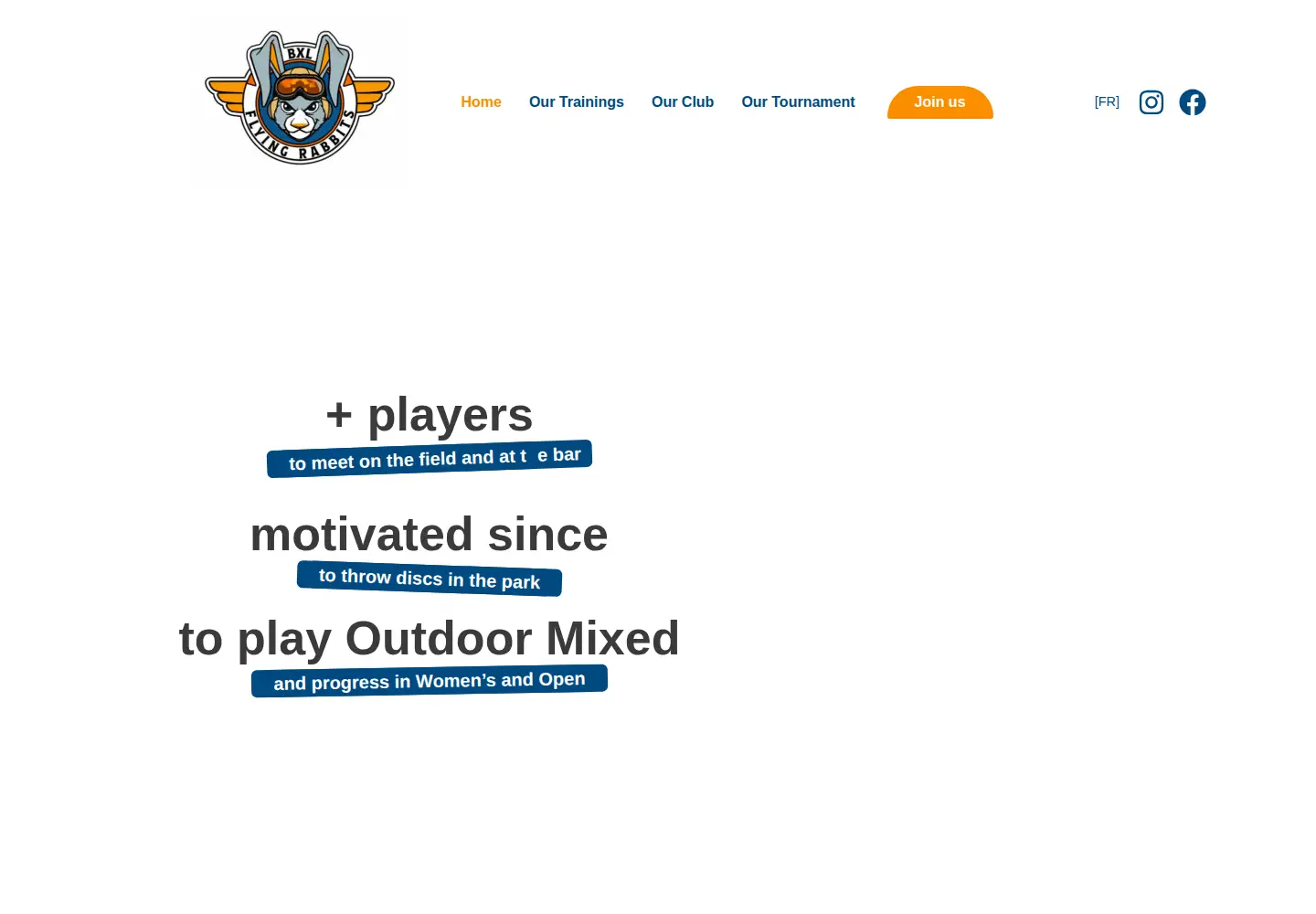 Captured homepage of flyingrabbits.be in the current scan