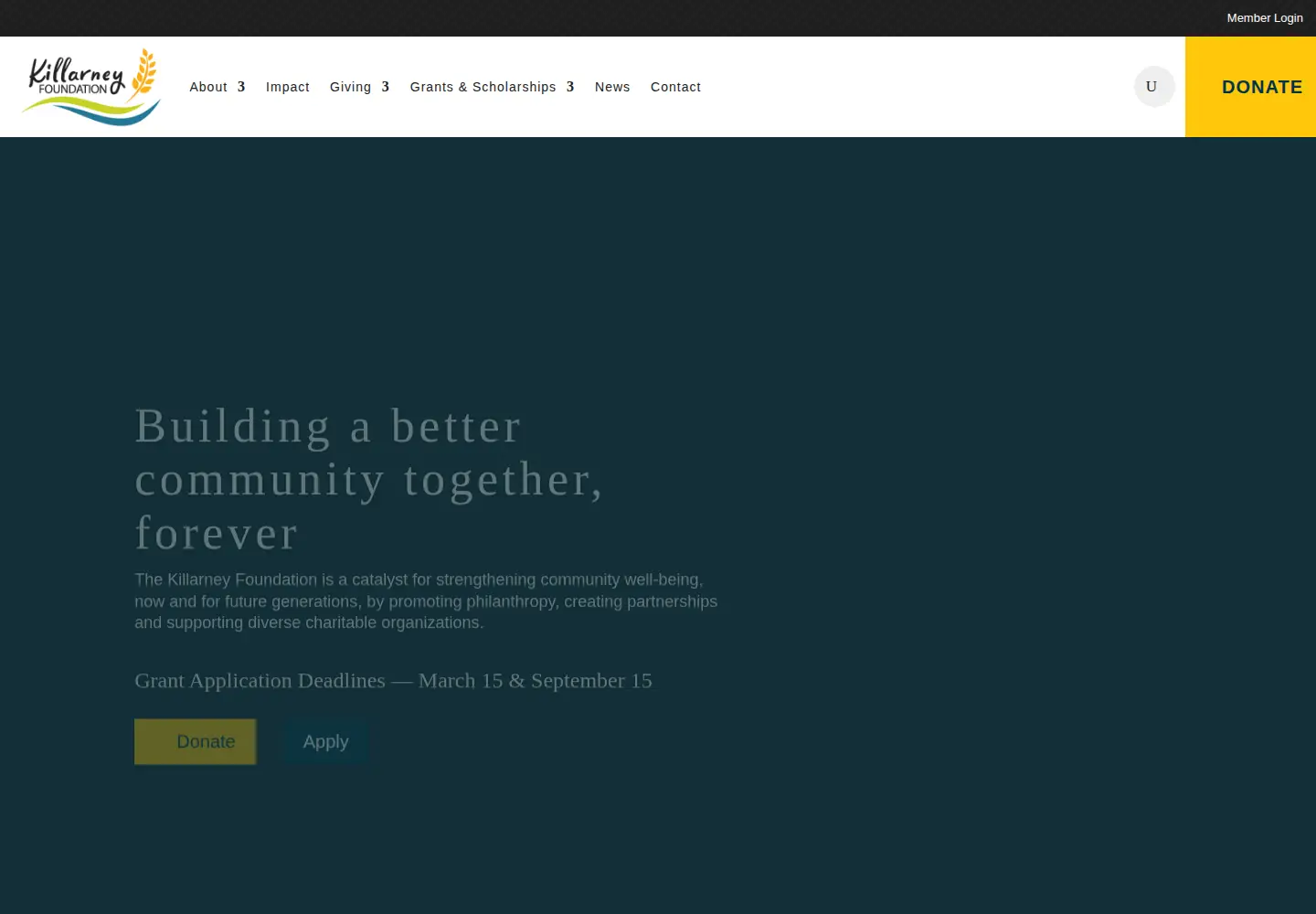 Screenshot of killarneyfoundation.ca