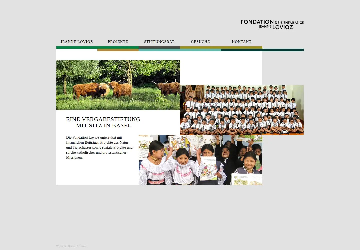Screenshot of fondationlovioz.ch