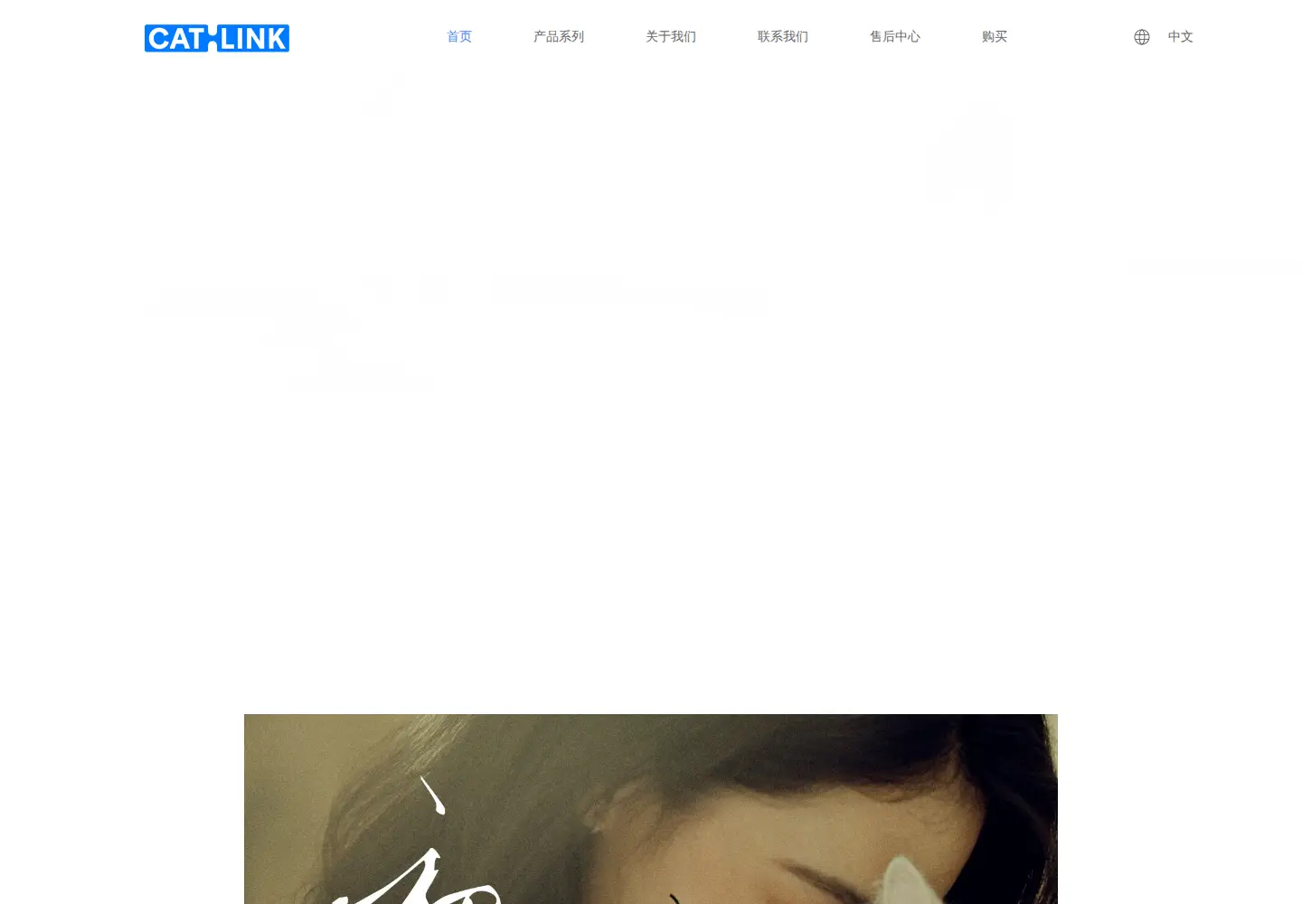 Screenshot of catlinks.cn