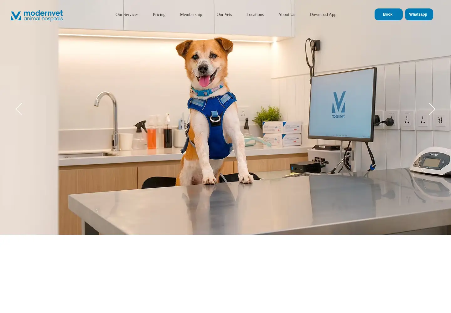 Screenshot of modernvet.co