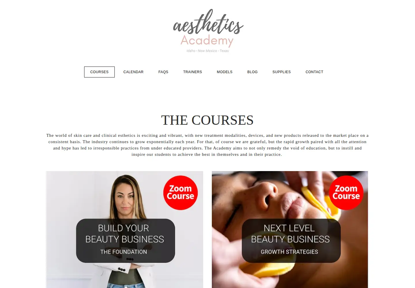 Screenshot of aestheticsacademyofidaho.com