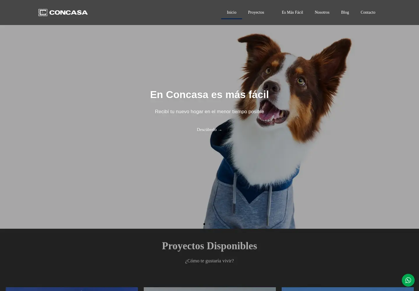 Captured homepage of concasa.com in the current scan