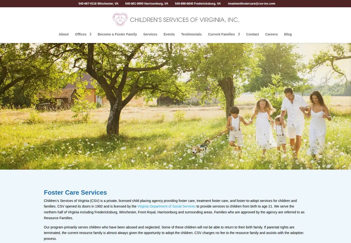 Screenshot of csv-inc.com