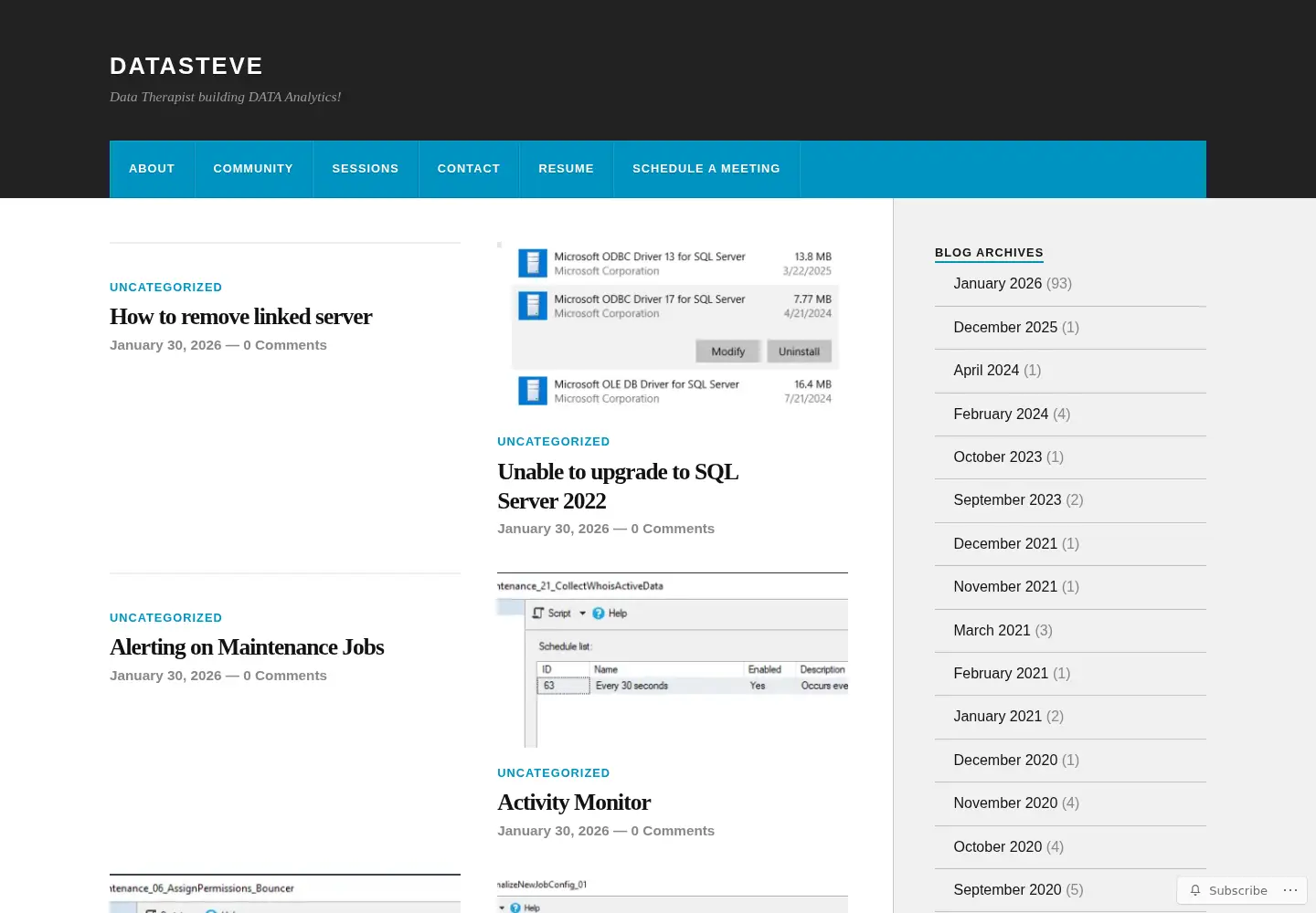 Screenshot of datasteve.com