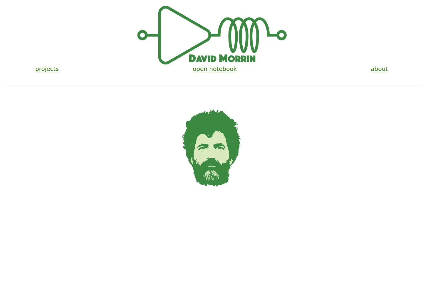 Captured homepage of davidmorrin.com in the current scan