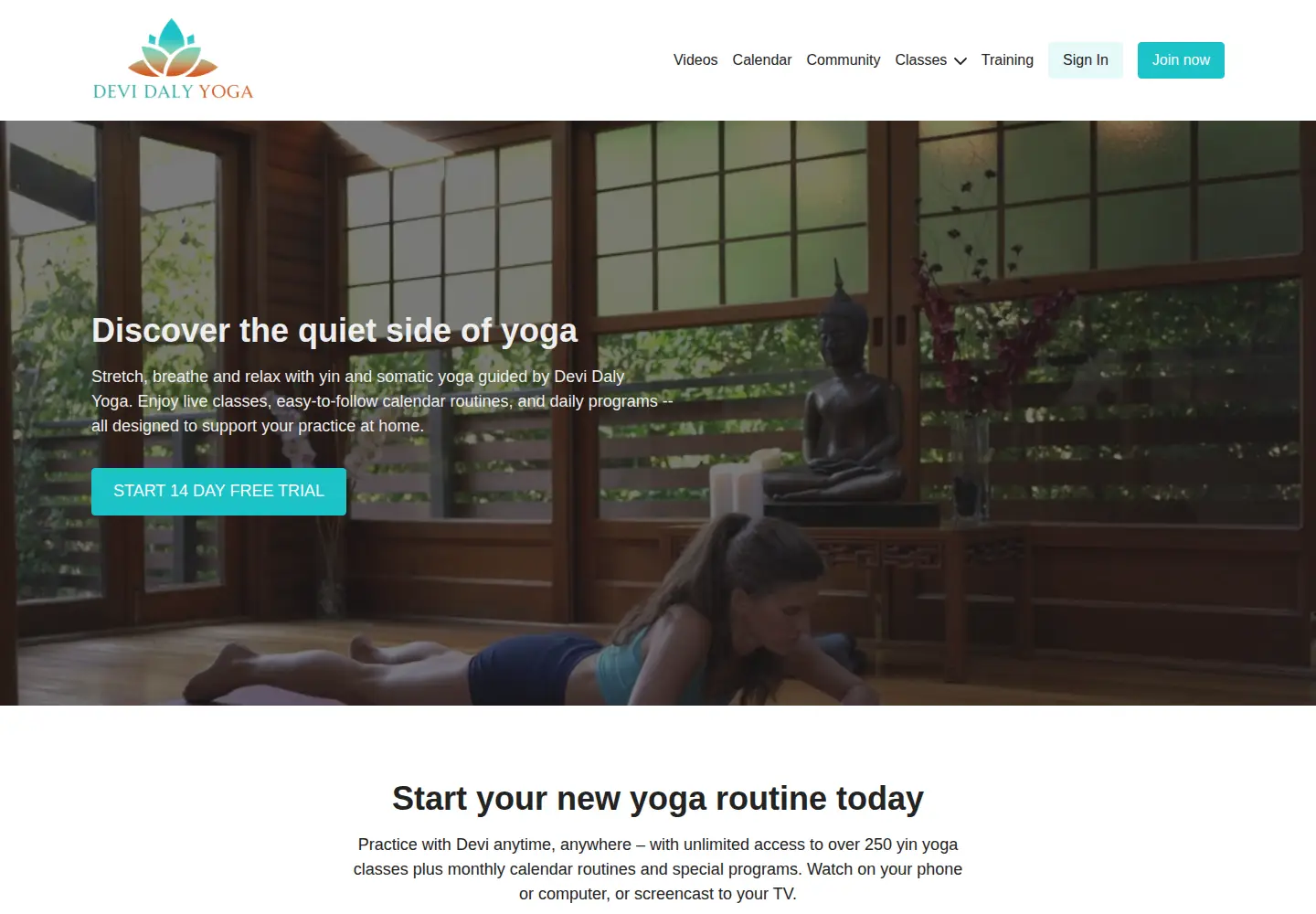 Captured homepage of devidalyyoga.com in the current scan