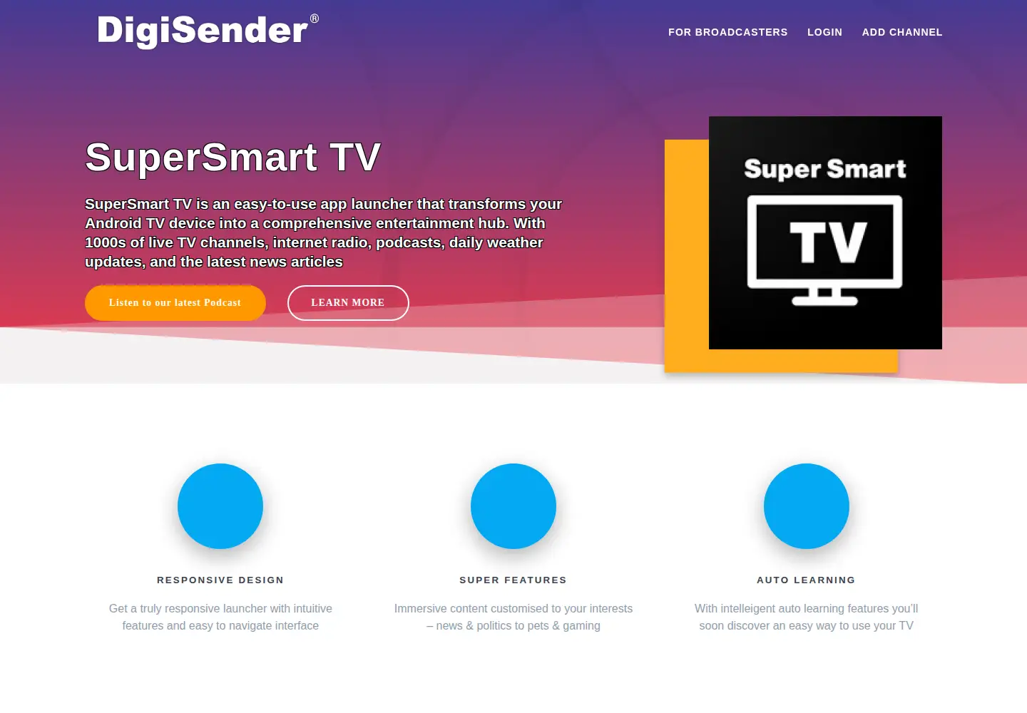 Captured homepage of digisender.com in the current scan
