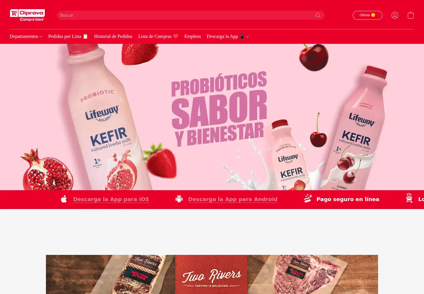 Captured homepage of diprova.com in the current scan