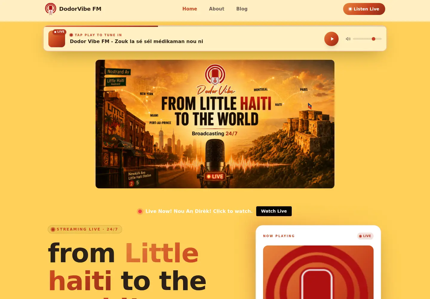 Screenshot of dodorvibe.com