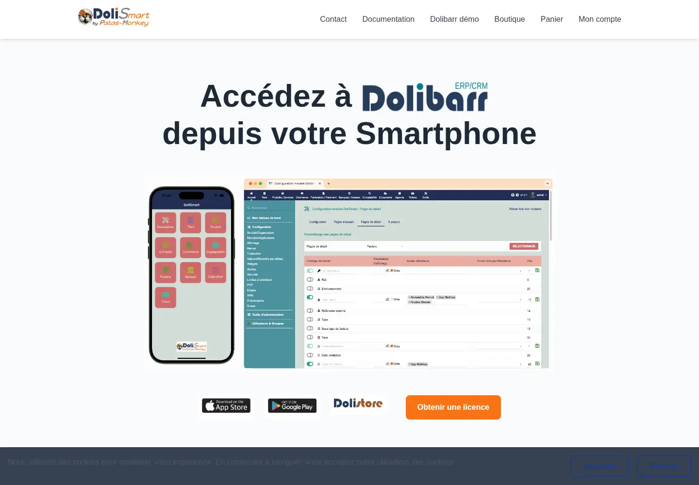Screenshot of dolismart.com