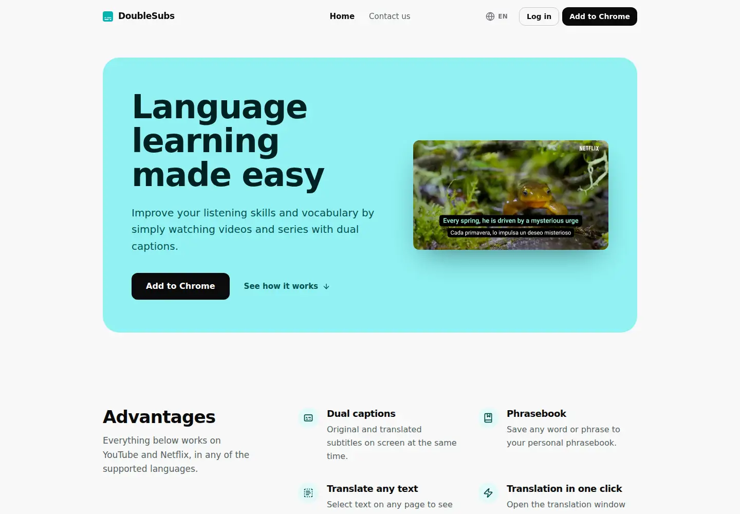 Screenshot of doublesubs.com