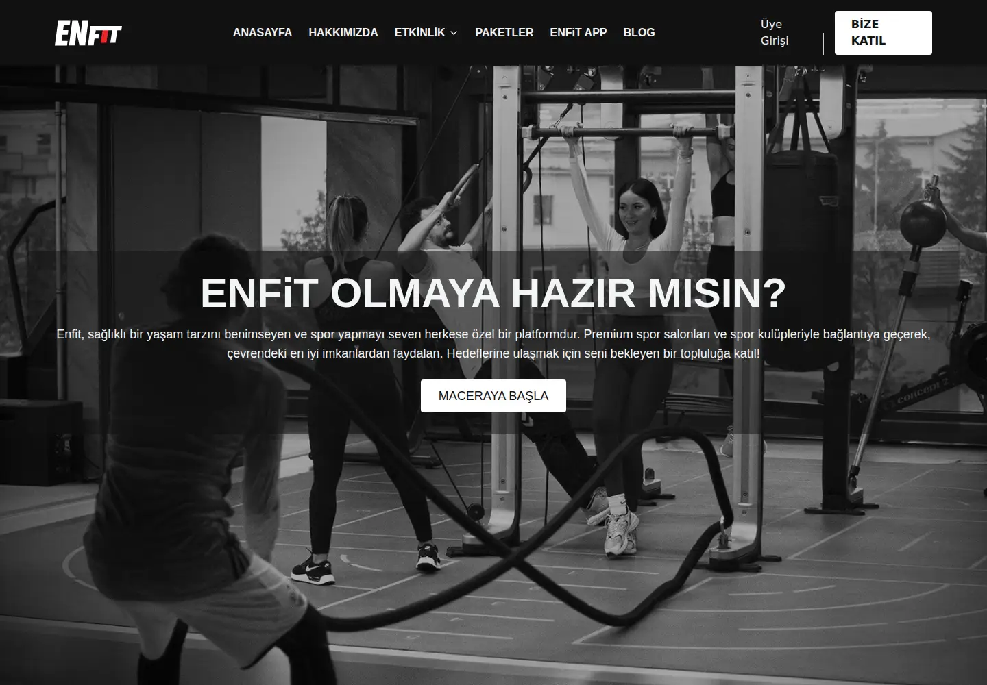 Captured homepage of en-fit.com in the current scan