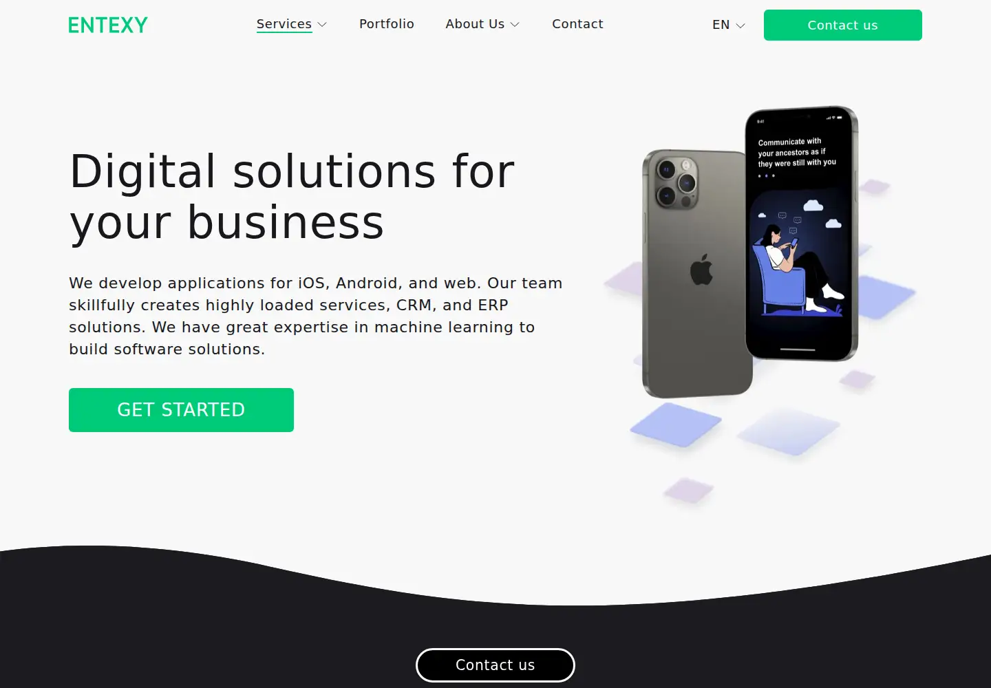 Screenshot of entexy.com