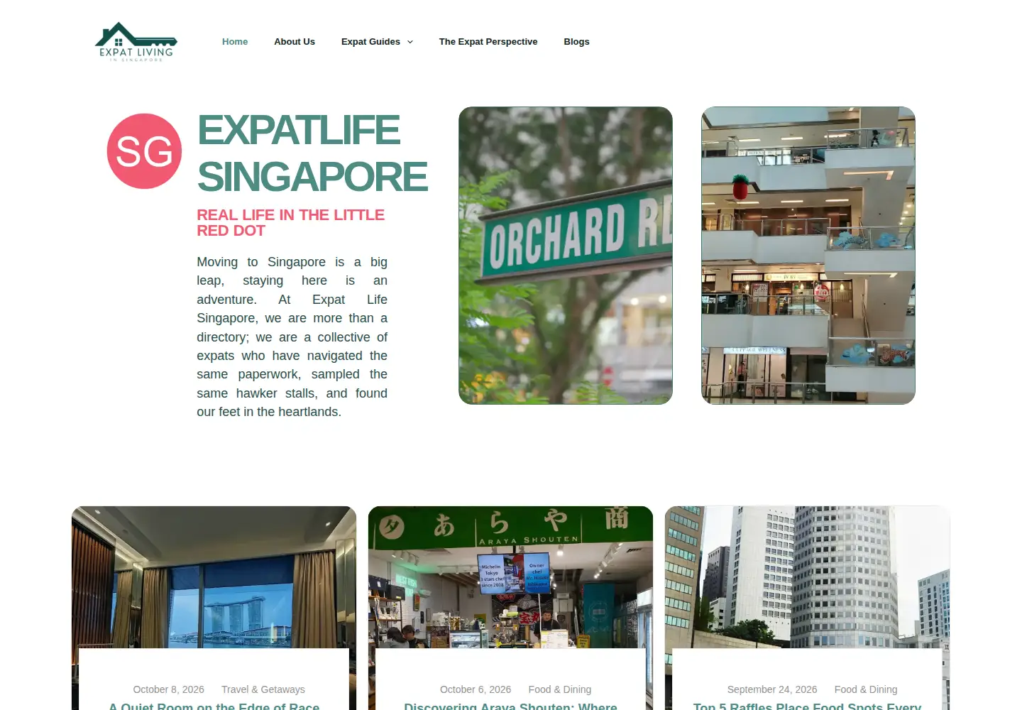 Captured homepage of expatlifesingapore.com in the current scan