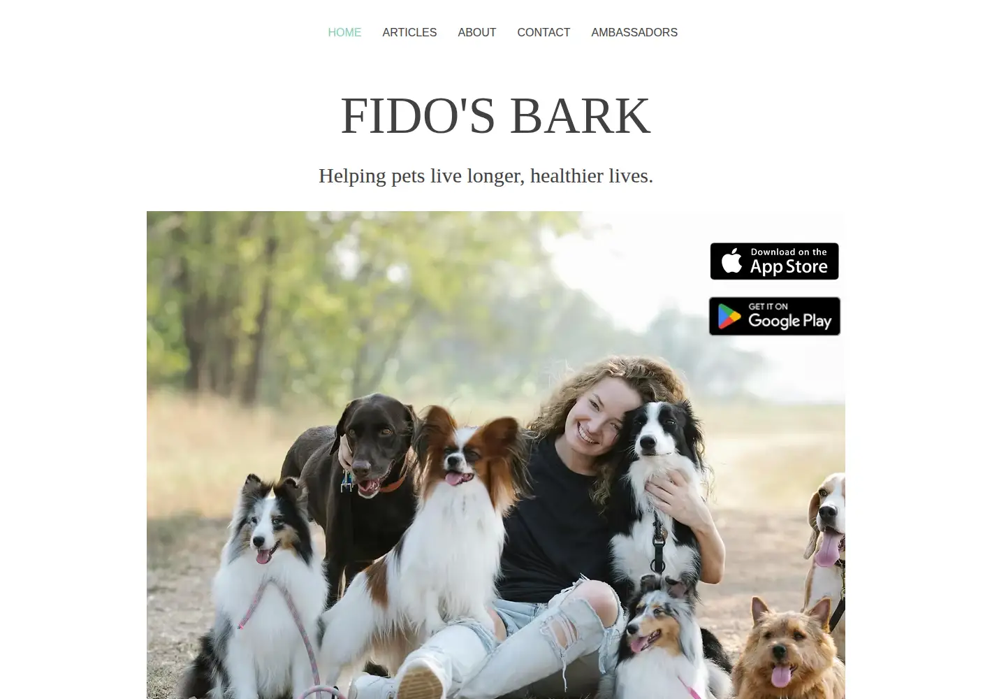 Captured homepage of fidosbark.com in the current scan
